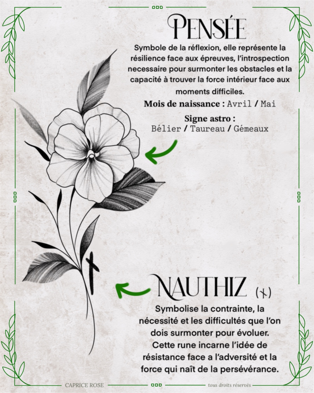 Pensée (runes florales)