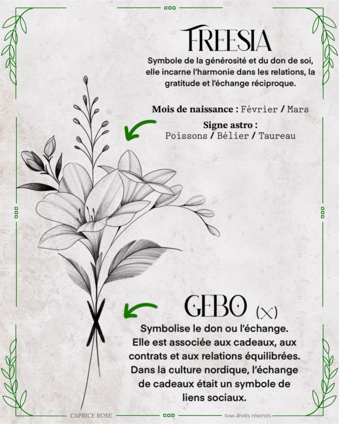 Freesia (runes florales)