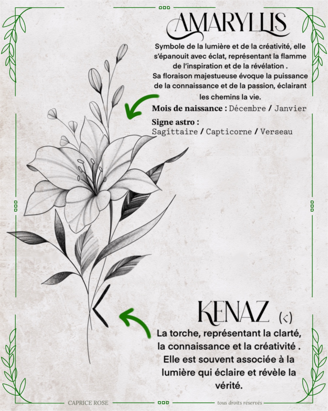 Amaryllis (runes florales)