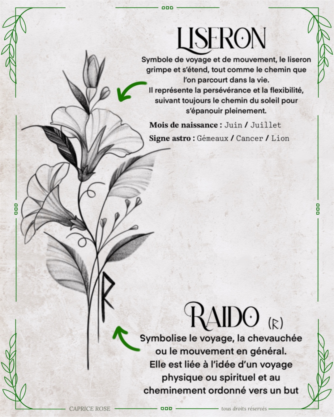 Liseron (runes florales)