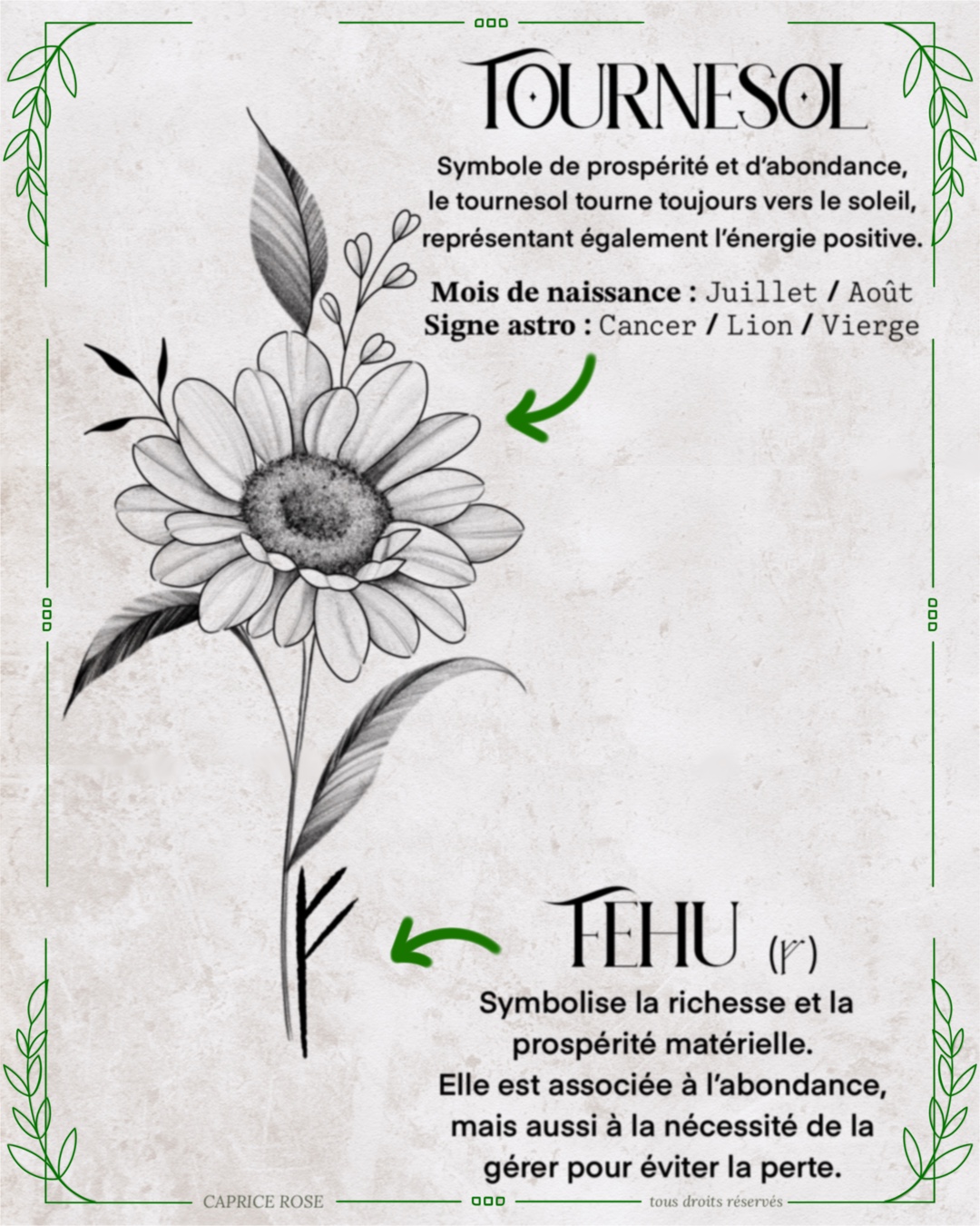 Tournesol (runes florales)