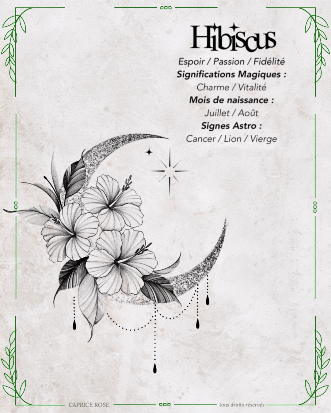 Hibiscus (lunes florales)