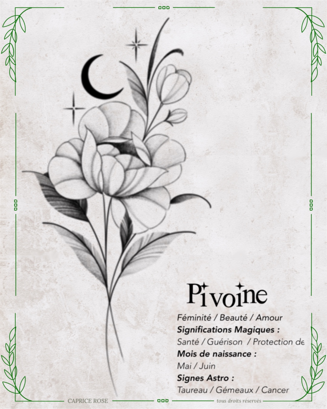 Pivoine (floral lunaire)