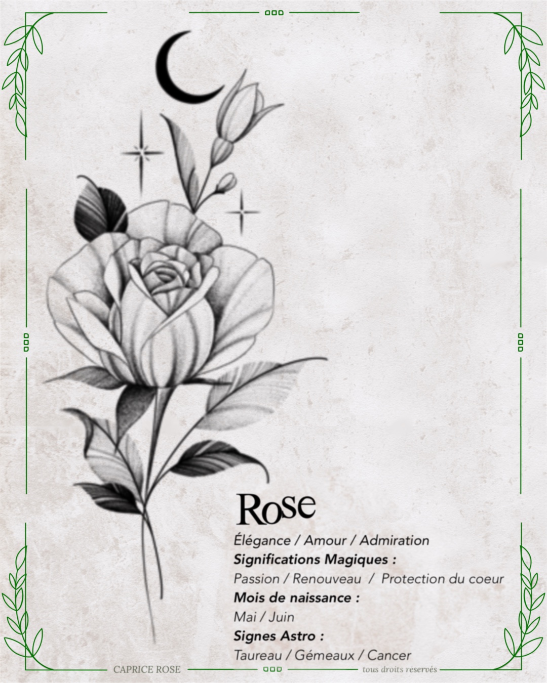 Rose (floral lunaire)