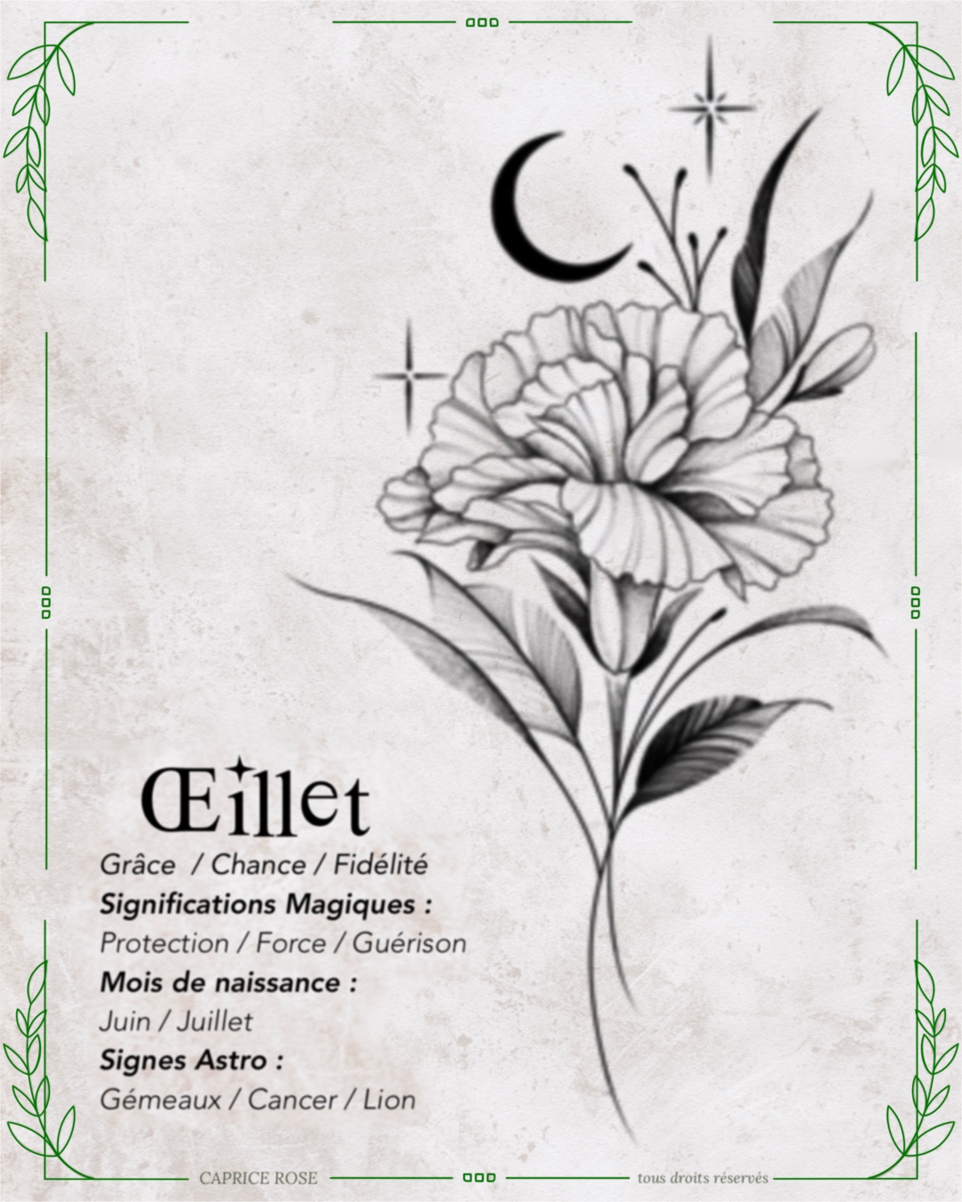 Œillet (floral lunaire)