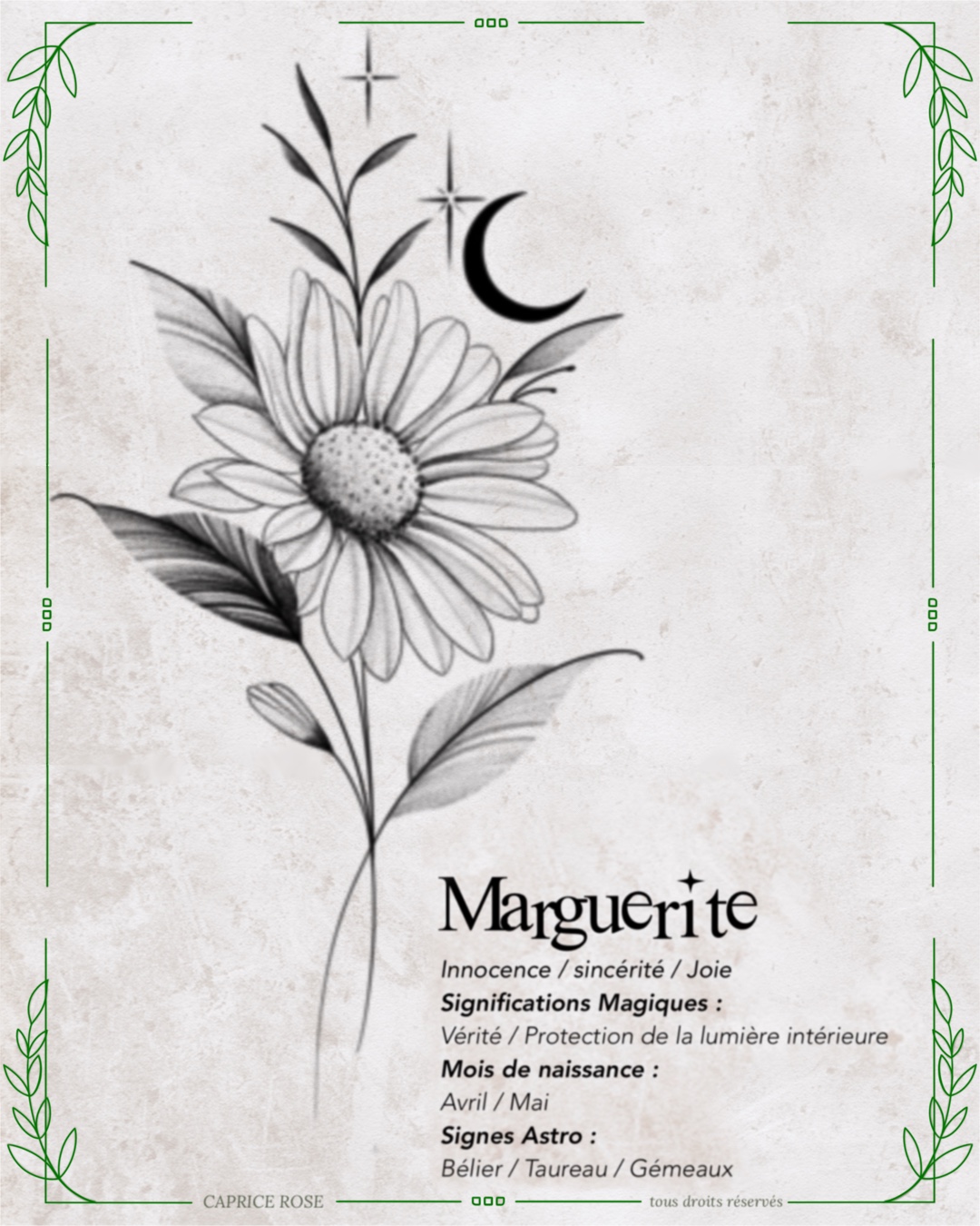 Marguerite (floral lunaire)