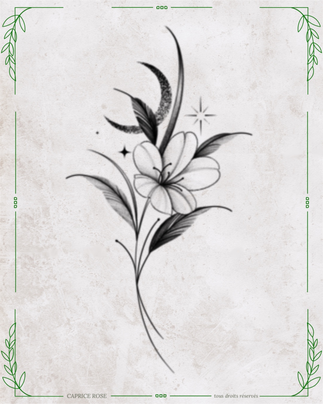 Cerisier Céleste n°2