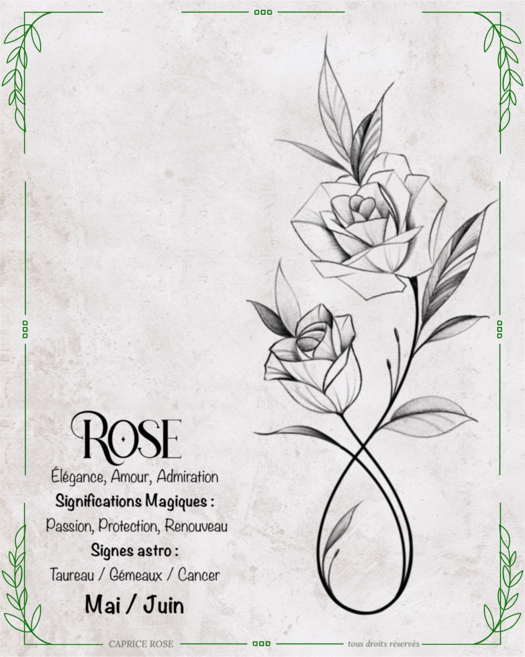 Rose (infinity floral)
