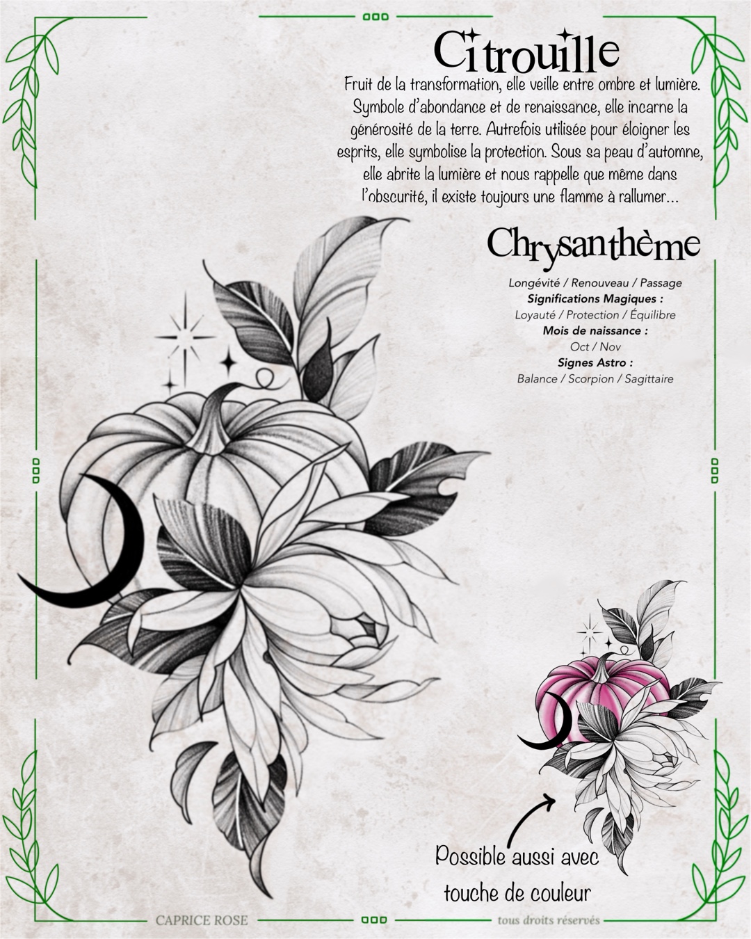 Chrysanthème (citrouille)