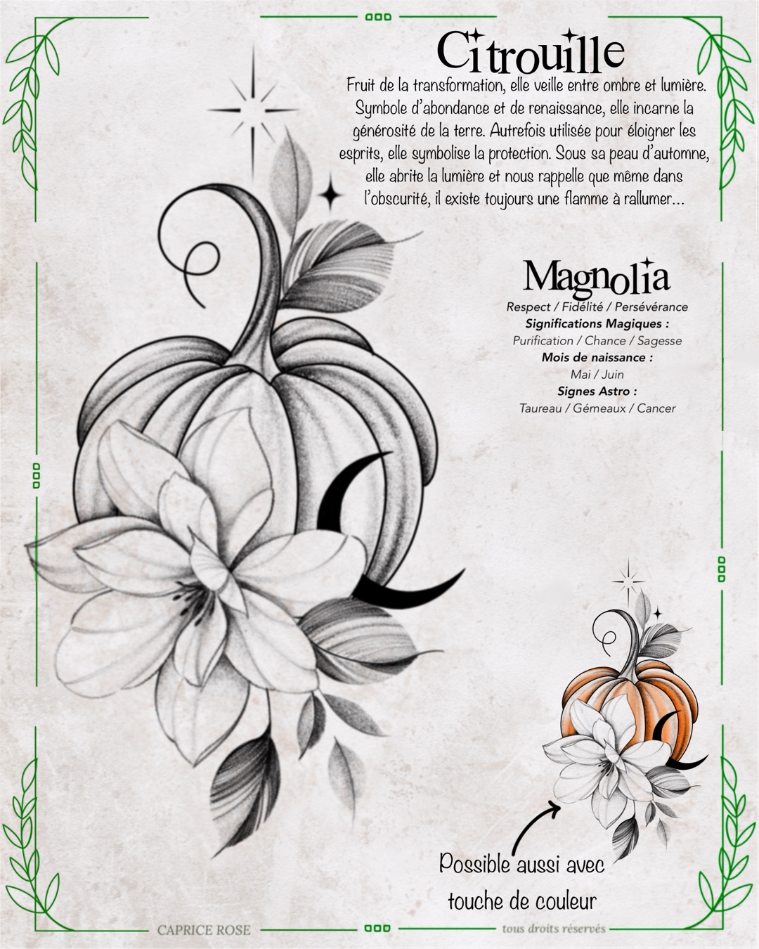 Magnolia (citrouille)