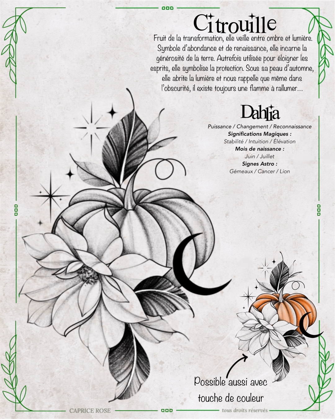 Dhalia (citrouille)