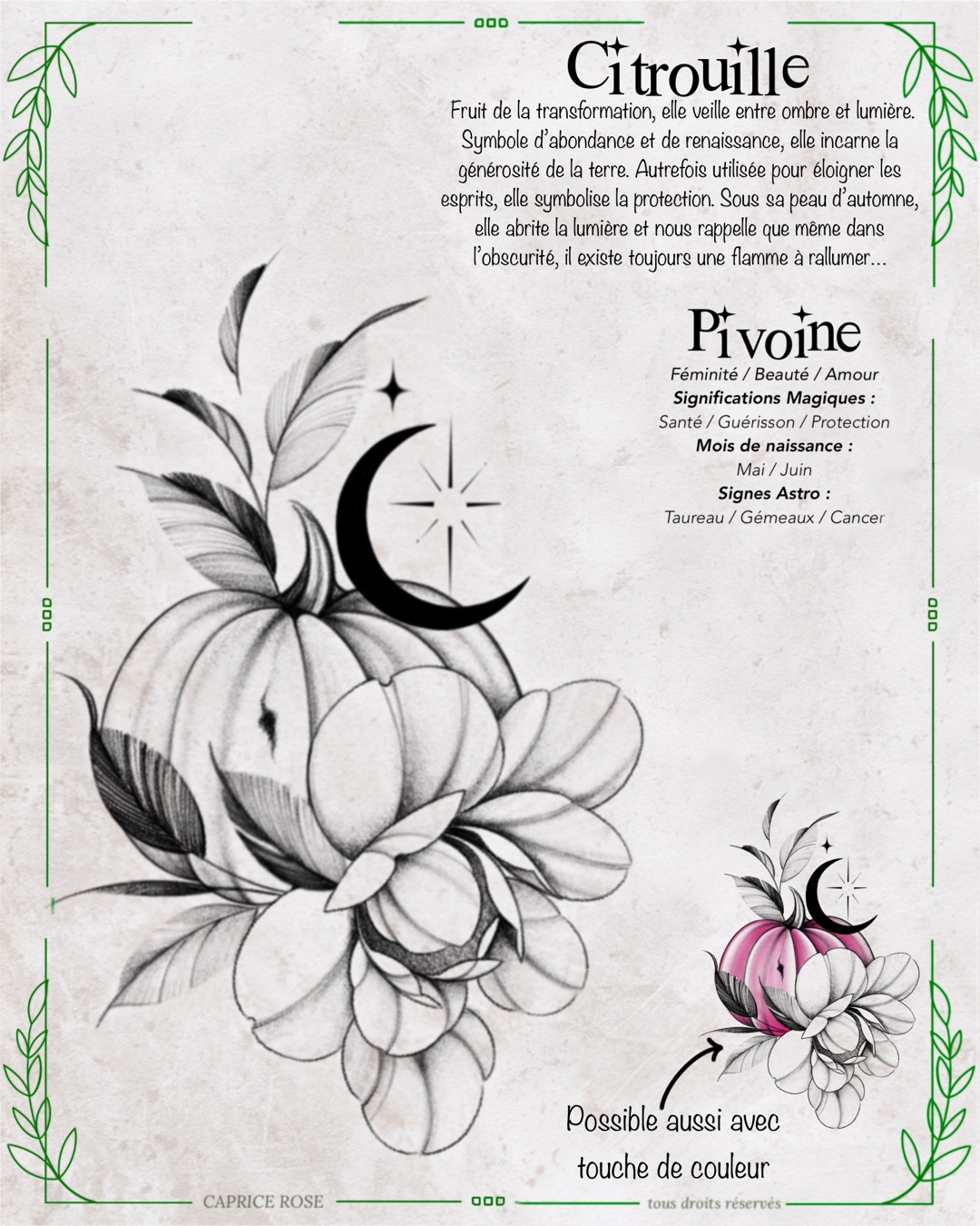 Pivoine (citrouille)
